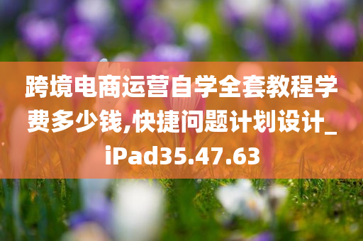 跨境电商运营自学全套教程学费多少钱,快捷问题计划设计_iPad35.47.63