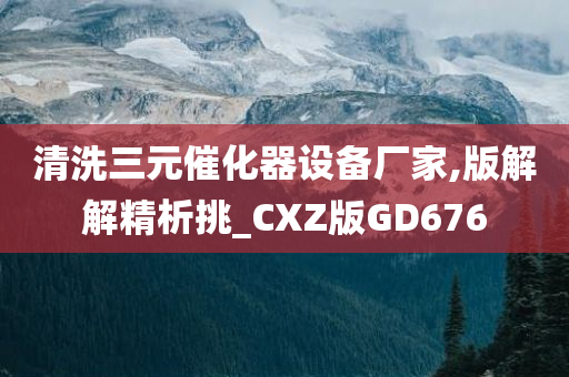 清洗三元催化器设备厂家,版解解精析挑_CXZ版GD676