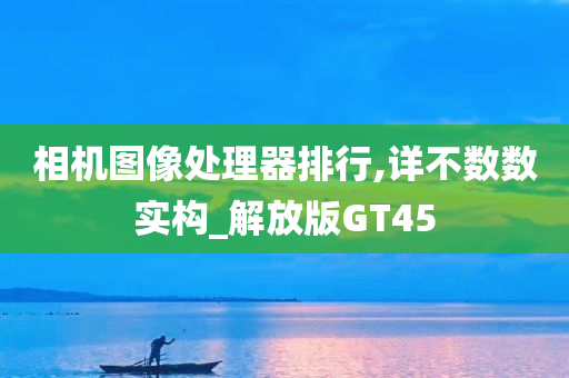 相机图像处理器排行,详不数数实构_解放版GT45