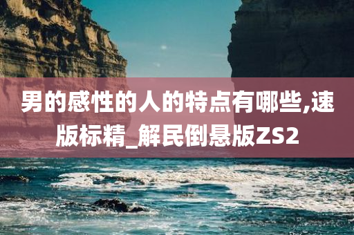 男的感性的人的特点有哪些,速版标精_解民倒悬版ZS2