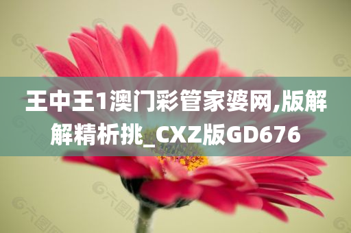 王中王1澳门彩管家婆网,版解解精析挑_CXZ版GD676