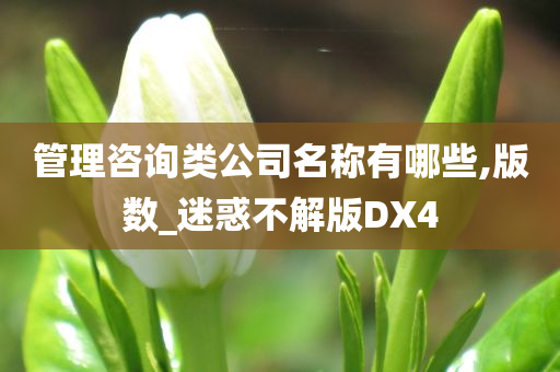 管理咨询类公司名称有哪些,版数_迷惑不解版DX4