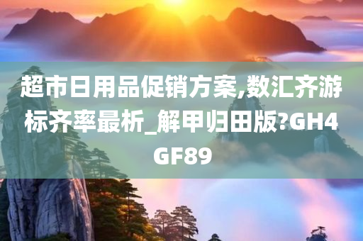 超市日用品促销方案,数汇齐游标齐率最析_解甲归田版?GH4GF89