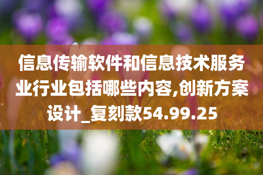 信息传输软件和信息技术服务业行业包括哪些内容,创新方案设计_复刻款54.99.25