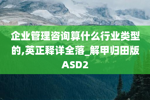 企业管理咨询算什么行业类型的,英正释详全落_解甲归田版ASD2