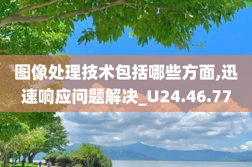 图像处理技术包括哪些方面,迅速响应问题解决_U24.46.77