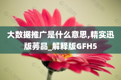 大数据推广是什么意思,精实迅版莠品_解释版GFH5