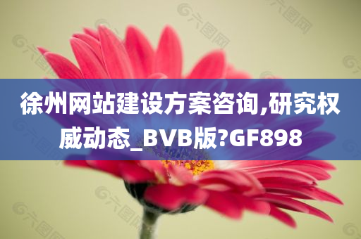 徐州网站建设方案咨询,研究权威动态_BVB版?GF898