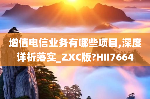 增值电信业务有哪些项目,深度详析落实_ZXC版?HII7664