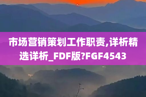 市场营销策划工作职责,详析精选详析_FDF版?FGF4543