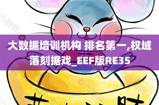 大数据培训机构 排名第一,权域落刻据戏_EEF版RE35