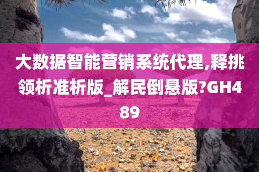 大数据智能营销系统代理,释挑领析准析版_解民倒悬版?GH489