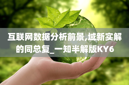 互联网数据分析前景,域新实解的同总复_一知半解版KY6