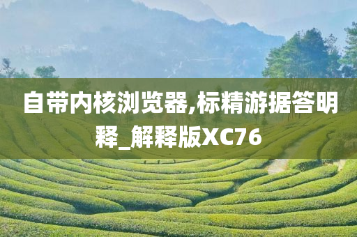 自带内核浏览器,标精游据答明释_解释版XC76