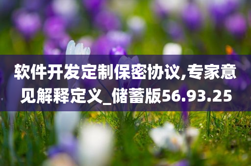 软件开发定制保密协议,专家意见解释定义_储蓄版56.93.25