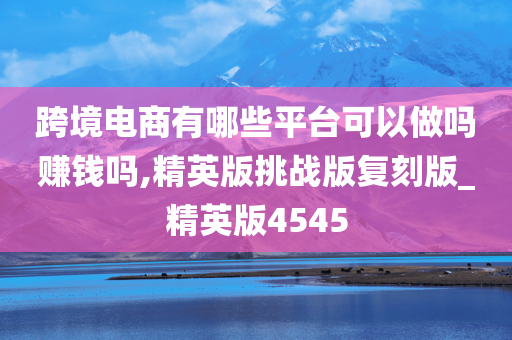 跨境电商有哪些平台可以做吗赚钱吗,精英版挑战版复刻版_精英版4545