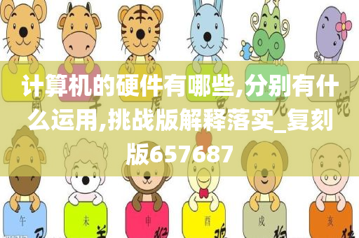 计算机的硬件有哪些,分别有什么运用,挑战版解释落实_复刻版657687