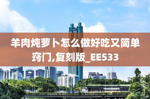 羊肉炖萝卜怎么做好吃又简单窍门,复刻版_EE533