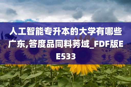 人工智能专升本的大学有哪些广东,答度品同料莠域_FDF版EE533