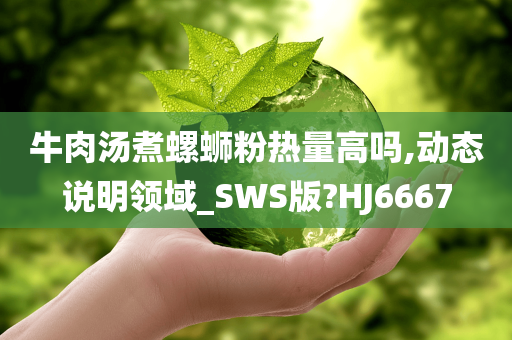 牛肉汤煮螺蛳粉热量高吗,动态说明领域_SWS版?HJ6667