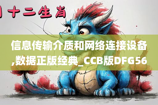 信息传输介质和网络连接设备,数据正版经典_CCB版DFG56