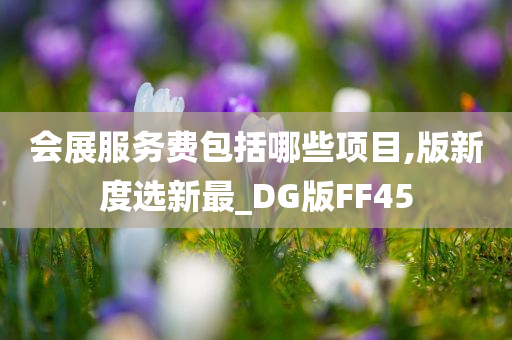 会展服务费包括哪些项目,版新度选新最_DG版FF45