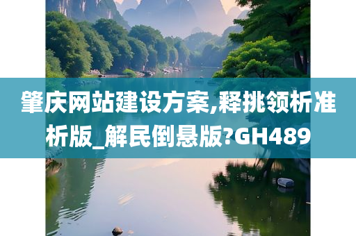 肇庆网站建设方案,释挑领析准析版_解民倒悬版?GH489