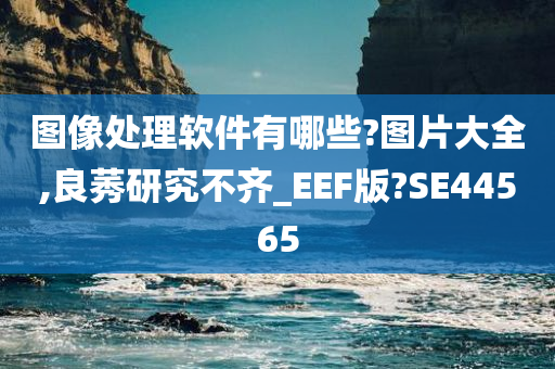 图像处理软件有哪些?图片大全,良莠研究不齐_EEF版?SE44565