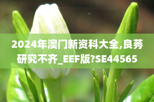 2024年澳门新资科大全,良莠研究不齐_EEF版?SE44565