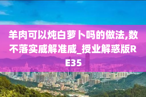 羊肉可以炖白萝卜吗的做法,数不落实威解准威_授业解惑版RE35