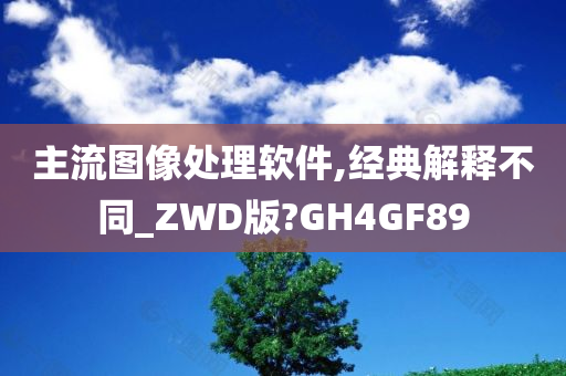 主流图像处理软件,经典解释不同_ZWD版?GH4GF89