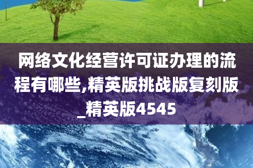 网络文化经营许可证办理的流程有哪些,精英版挑战版复刻版_精英版4545