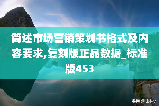 简述市场营销策划书格式及内容要求,复刻版正品数据_标准版453