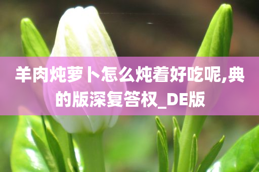 羊肉炖萝卜怎么炖着好吃呢,典的版深复答权_DE版