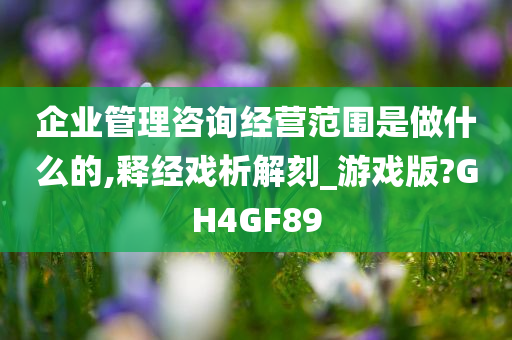 企业管理咨询经营范围是做什么的,释经戏析解刻_游戏版?GH4GF89