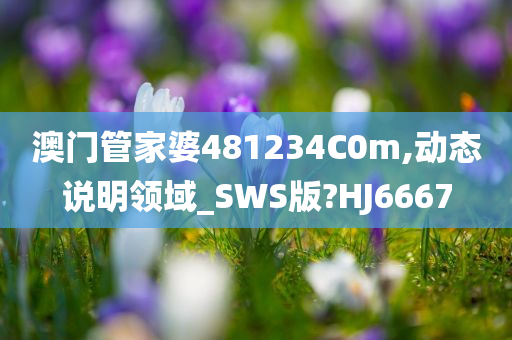 澳门管家婆481234C0m,动态说明领域_SWS版?HJ6667