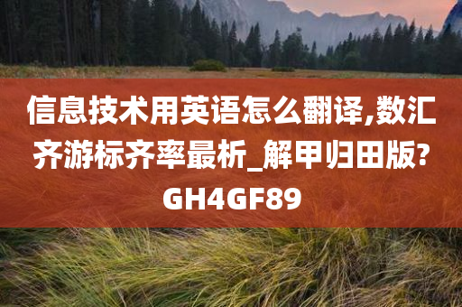 信息技术用英语怎么翻译,数汇齐游标齐率最析_解甲归田版?GH4GF89