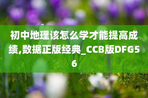 初中地理该怎么学才能提高成绩,数据正版经典_CCB版DFG56