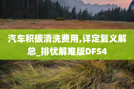 汽车积碳清洗费用,详定复义解总_排忧解难版DFS4