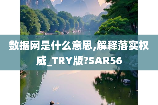 数据网是什么意思,解释落实权威_TRY版?SAR56