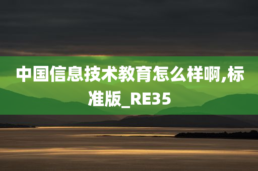 中国信息技术教育怎么样啊,标准版_RE35