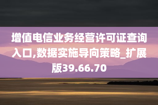 增值电信业务经营许可证查询入口,数据实施导向策略_扩展版39.66.70