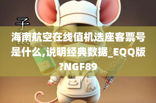 海南航空在线值机选座客票号是什么,说明经典数据_EQQ版?NGF89