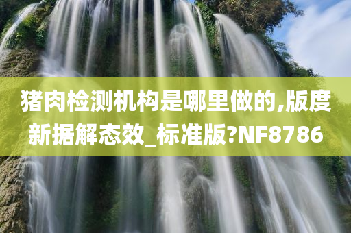 猪肉检测机构是哪里做的,版度新据解态效_标准版?NF8786