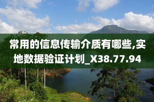 常用的信息传输介质有哪些,实地数据验证计划_X38.77.94