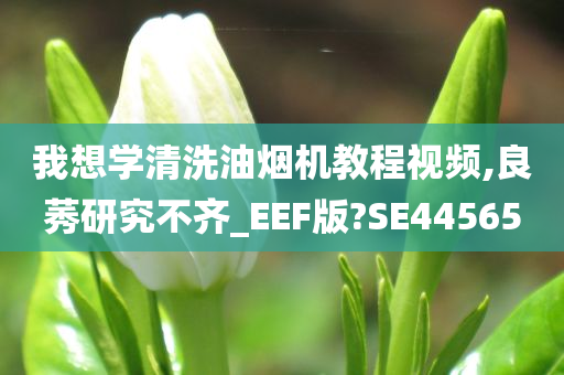 我想学清洗油烟机教程视频,良莠研究不齐_EEF版?SE44565