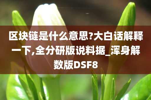 区块链是什么意思?大白话解释一下,全分研版说料据_浑身解数版DSF8