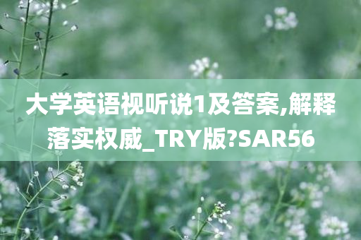 大学英语视听说1及答案,解释落实权威_TRY版?SAR56