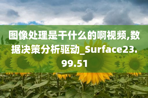 图像处理是干什么的啊视频,数据决策分析驱动_Surface23.99.51