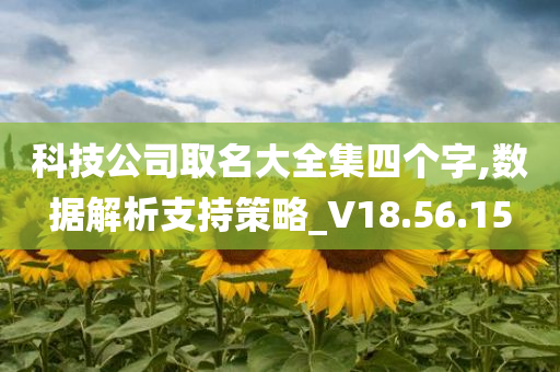 科技公司取名大全集四个字,数据解析支持策略_V18.56.15